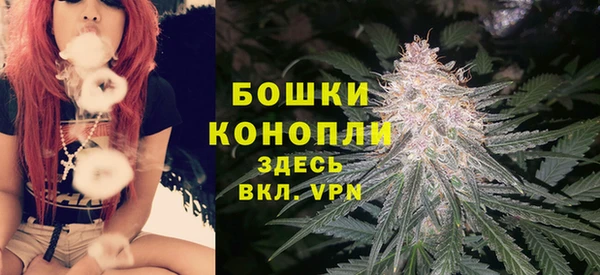 СК Белокуриха