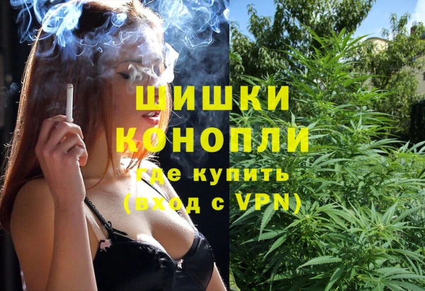 СК Белокуриха