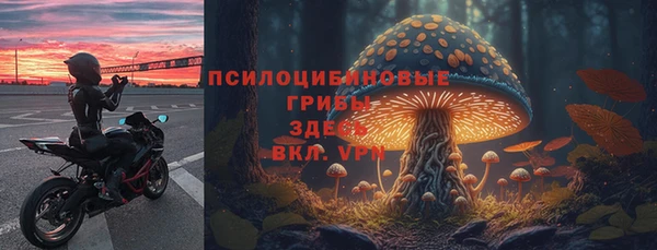 амф Протвино