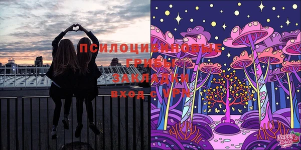 амф Протвино